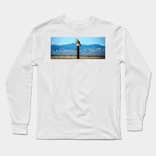 Ferruginous Hawk Long Sleeve T-Shirt